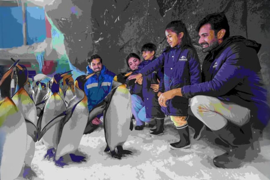 SEA WORLD THEME PARK